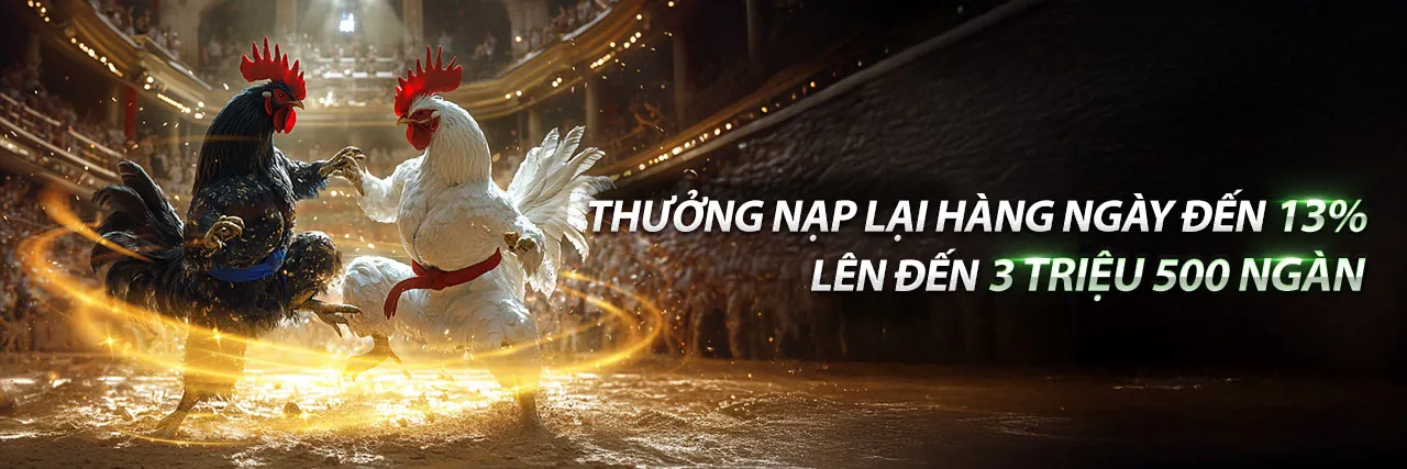 Hình ảnh giới thiệu 97win.net, nền tảng cá cược trực tuyến hàng đầu Việt Nam